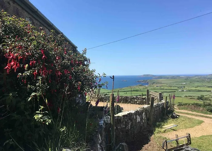 1 Bryn Tirion Uchaf